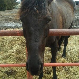 Meet your Posher, Ethan